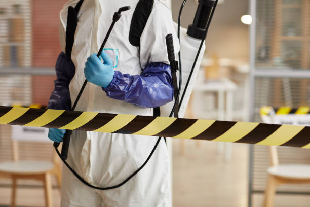 Professional Sewage Cleanup technician working in Morgan, GA